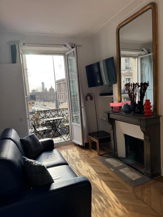 Appartement parisien - Balcon face au Louvre