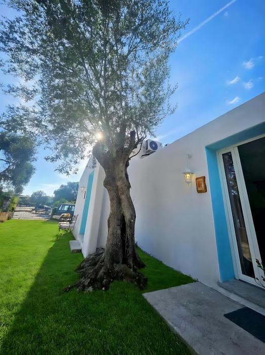 Il Giardino delle Fate