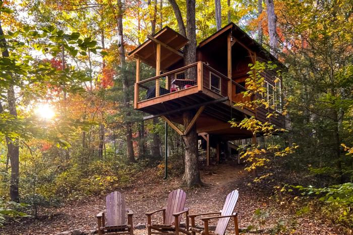 Dreamy Treehouse Getaway Dog FriendlyDisc Golf