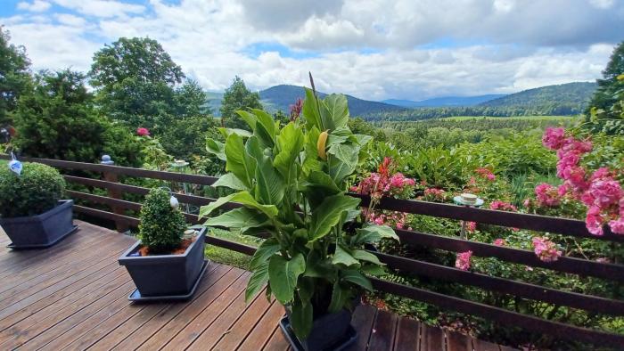 Ferienwohnung Panoramablick 2