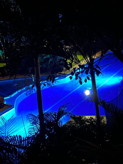 Natural paradise in playa del carmen