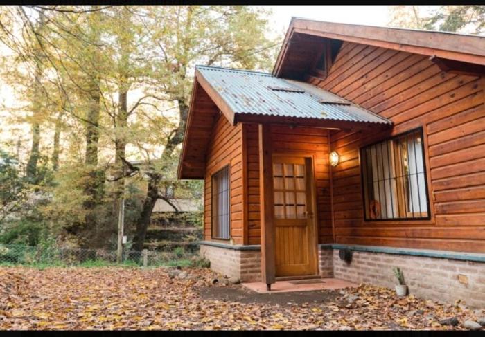 A centrally located cabin surrounded by nature