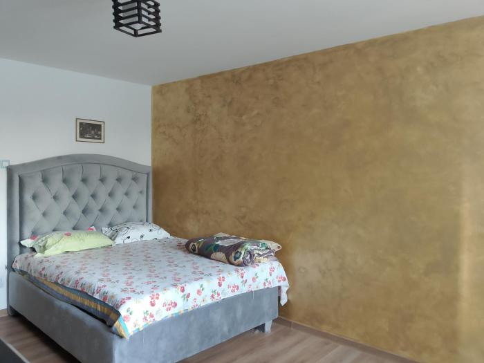 Garsoniera țiglina 1