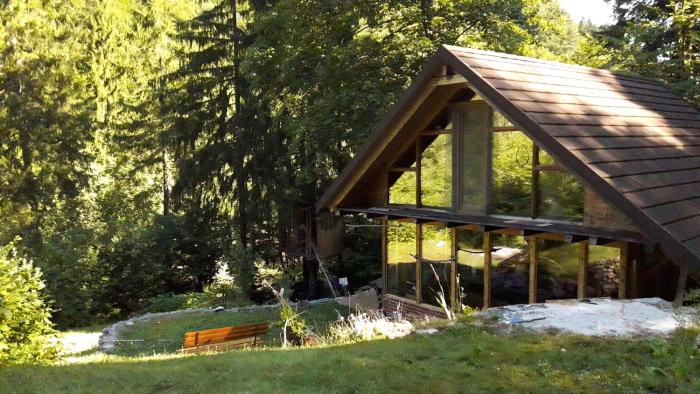 Wild Art Wooden house