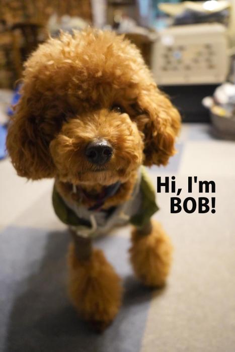 Slopeside Lodge Hakuba