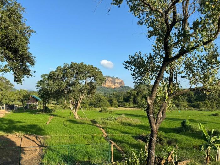 Lion Rock Haven Cabana