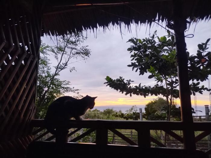 Homestead Farm Payag Bahay Kubo