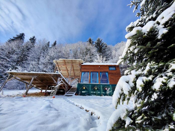 Tiny House Retreat Bran