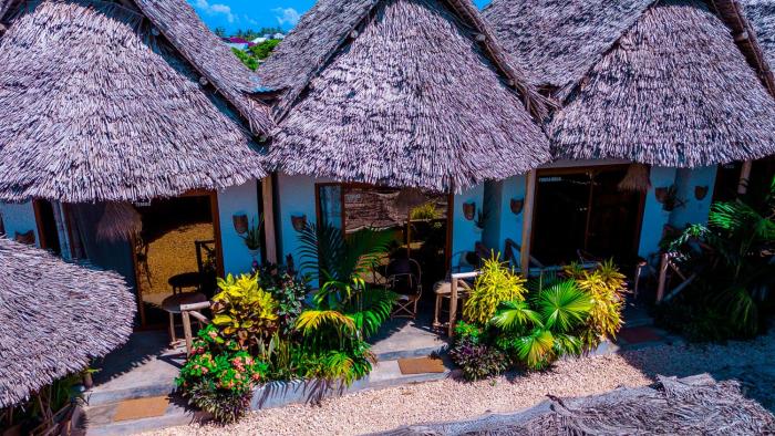 Bougainvillea nungwi zanzibar