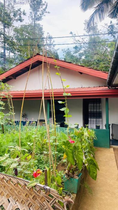 KVS Homstay