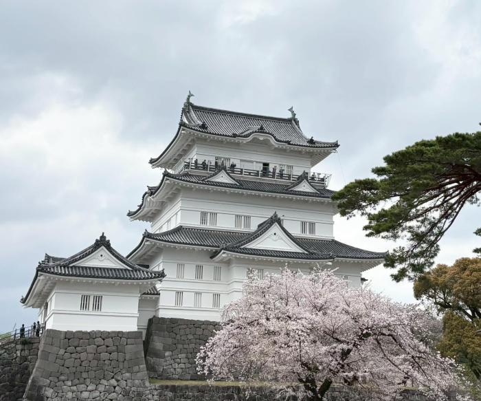 梅の宿 Umenoya 小田原城5分箱根15分城下町と温泉を愉しむ東海道の古民家ステイ PC1