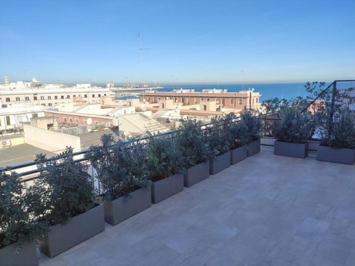 Penthouse Petroni 19