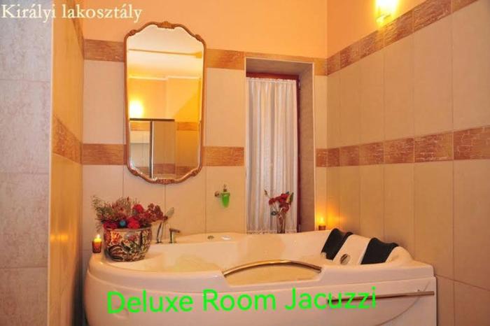 Castle Wellness Resort Free Aquapark Tickets to Family Suite 21-31January