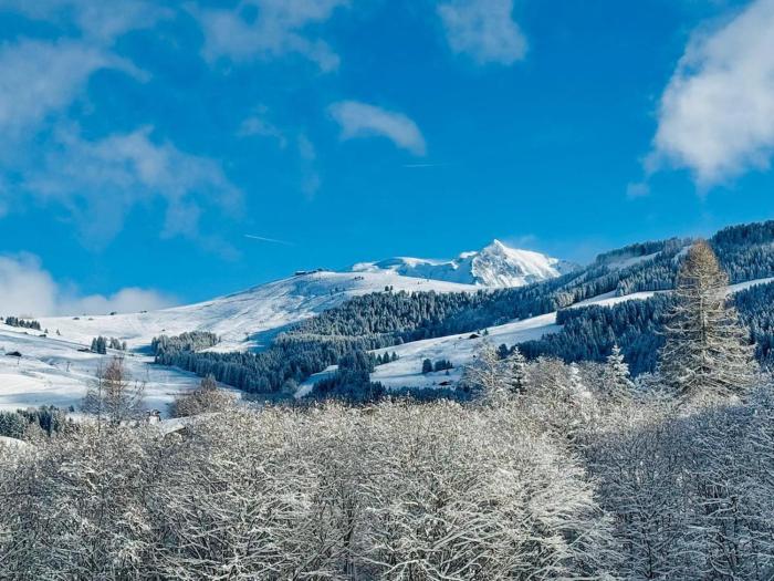 Charming duplex in Hameau des Pistes ski in ski out