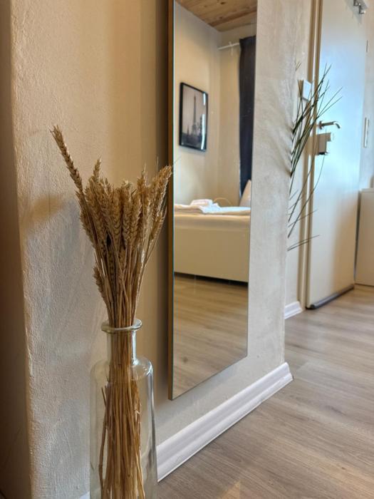 Öko Lehmbau direkt am Main