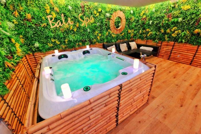 BALI SPA-4 Pers-Jacuzzi-Parking-Jardin-Clim-Colmar