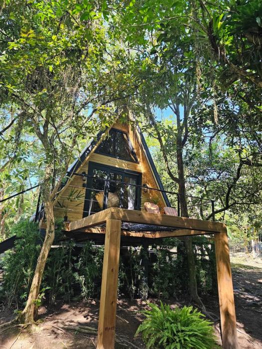 Um chalé e um riacho no meio da natureza