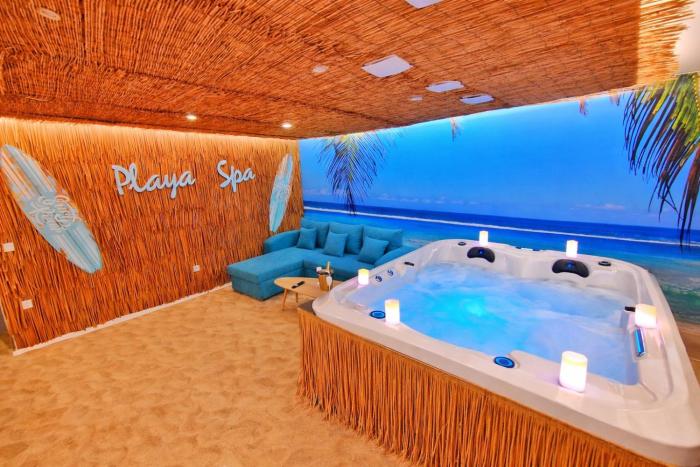PLAYA SPA-4 Pers-Jacuzzi-Parking-Jardin-Clim-Colmar