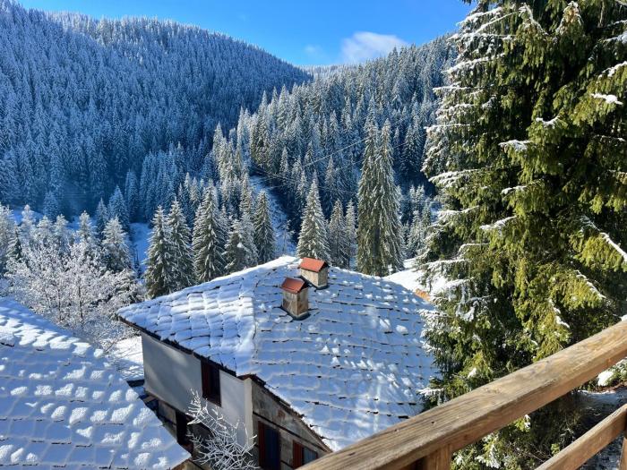 Къща за гости в село Проглед - комплекс Божидарица 4А