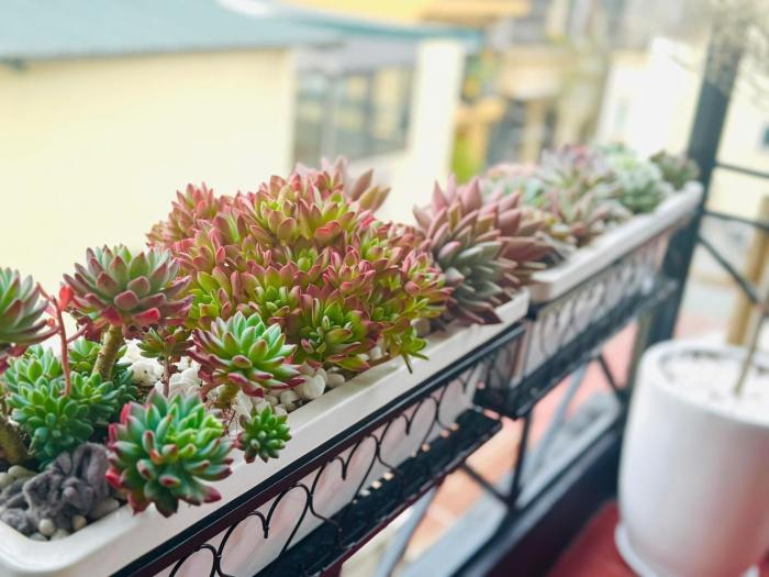 Căn hộ 3 tầng 2 phòng ngủ