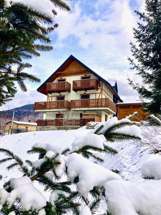 nowy apartament Płomykówka w Willi Sowiej