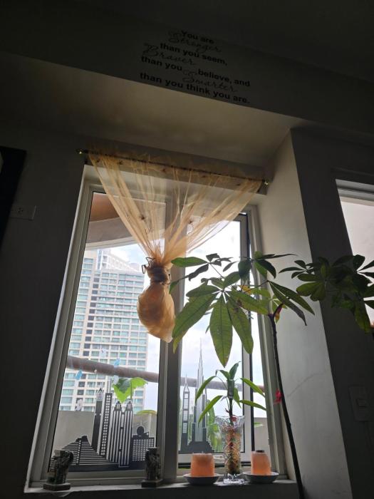 Mandaluyong HomeBest Place to Stay!