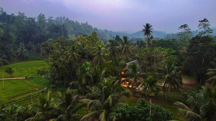Rainforest Royal Heritage