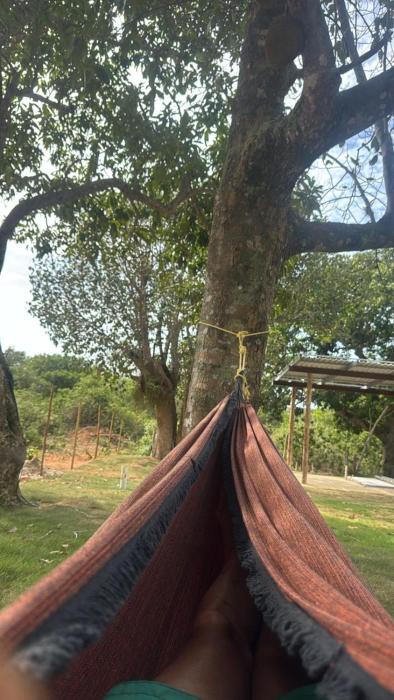 Camping - Quintal do Cinelli