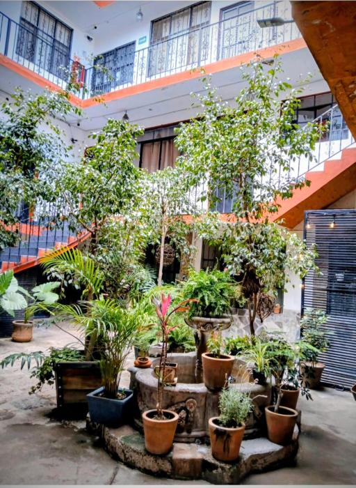 Hotel Kasa Sarita Centro SMA