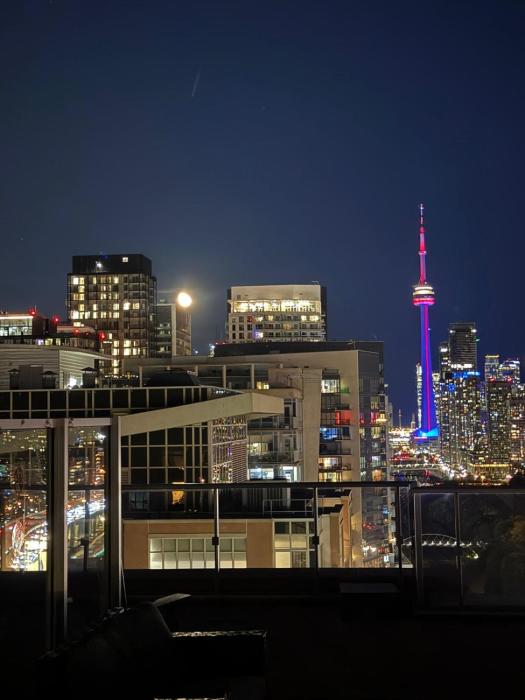 Central Signature Stay Downtown-Direct Transit to BMO Field & Free Wifi