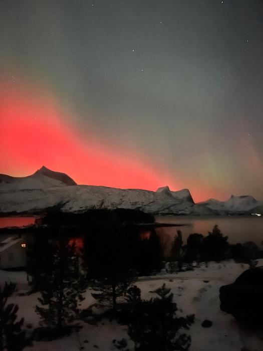 Efjord and Stetind Resort - Cabin Ocean