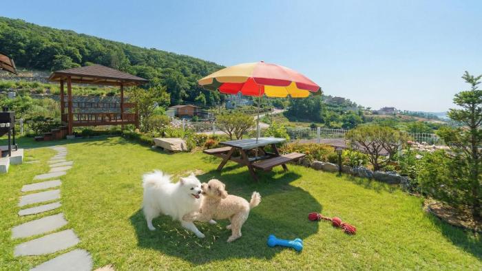 Ganghwa Plitvice Pension