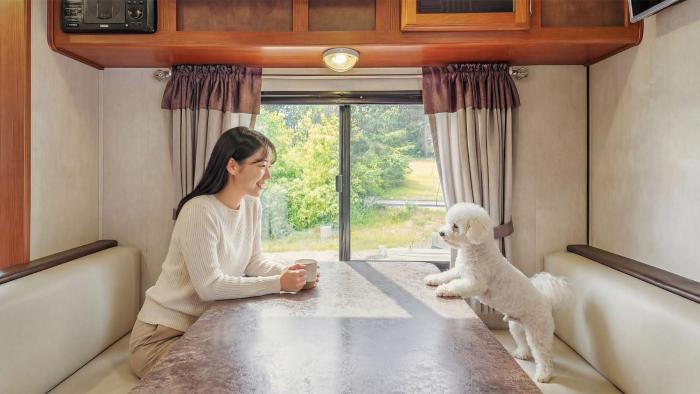 Goseong Jjun Camping Pension