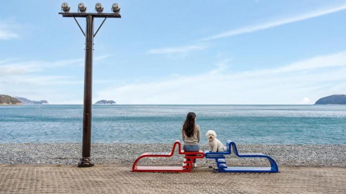 Geoje Blueberry Pet Pension