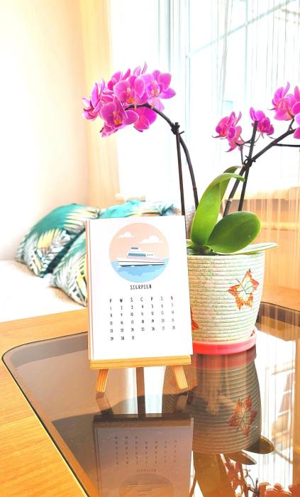 Apartamenty przy Starówce