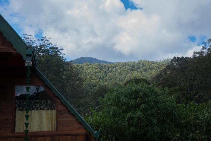 Cloud Nest Cabana
