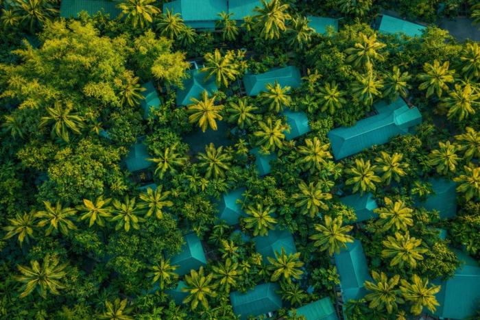 Palm Grove Eco Resort