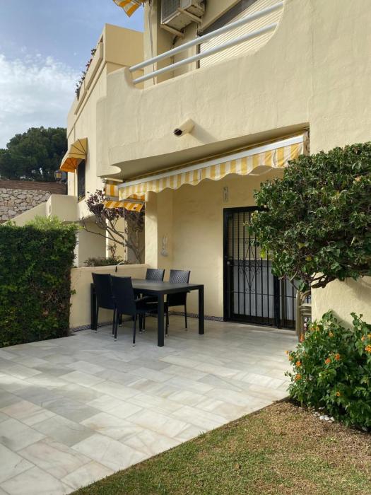 Mimosas Holiday Dream