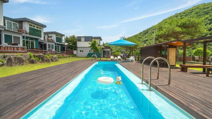 HongCheon Casa Pellis Pet Private Pesion