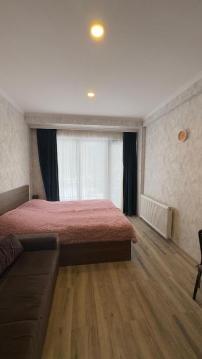 Forest view under Kokhta