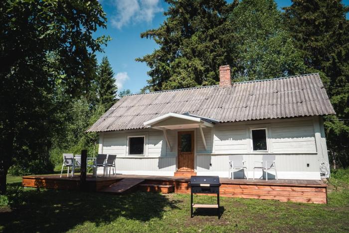 Peaceful Forest Cabin in Nature