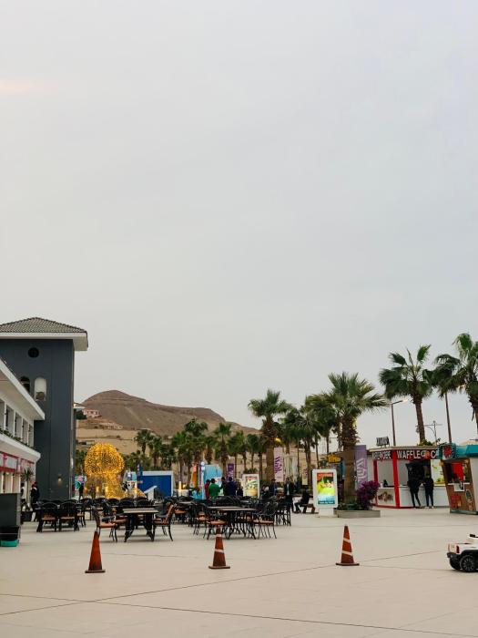 مش معاااااانا