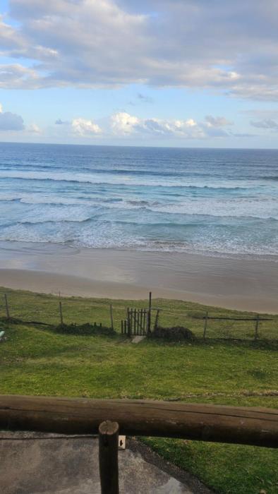 The Laughing Mermaid