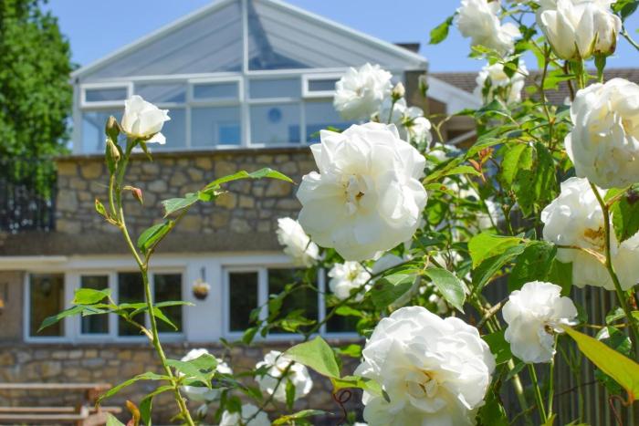 2 Bed in Cardiff oc-45394