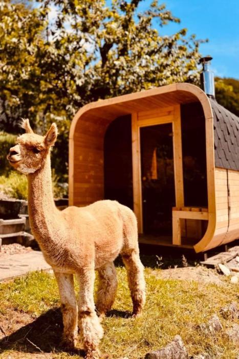 Holiday Home Alpaka-Ferienhaus Oenzlen by Interhome