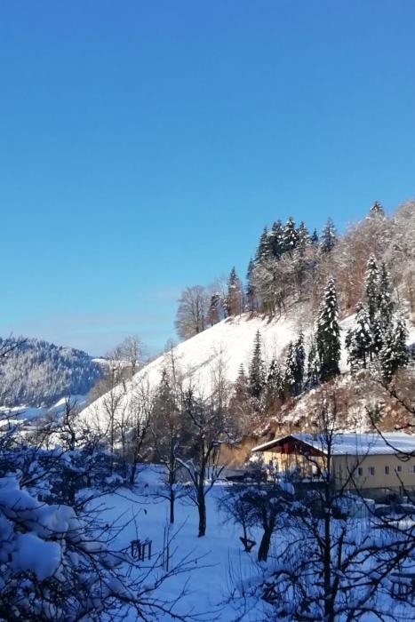 Apartment Emmental Ferien by Interhome