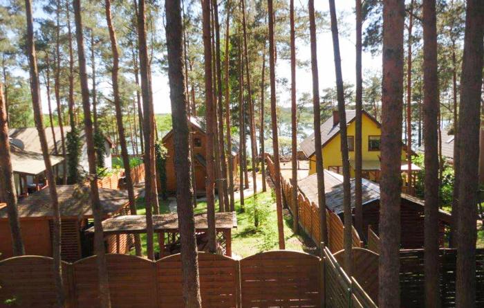 Nice Apartment In Ocypel With Sauna