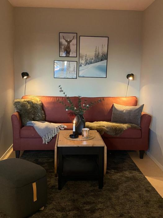 Ski in ski out, Solsidan Vemdalen, Björnrike Ski Club