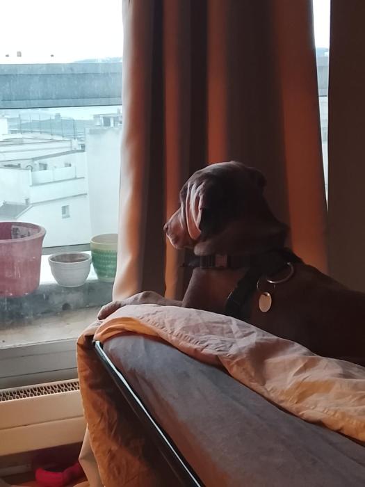 Perfect location for Roland Garros, soccer and rugby