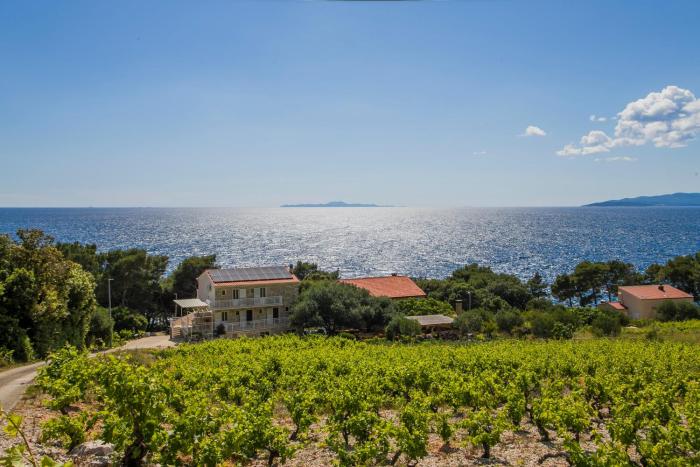 Apartments Villa Ana